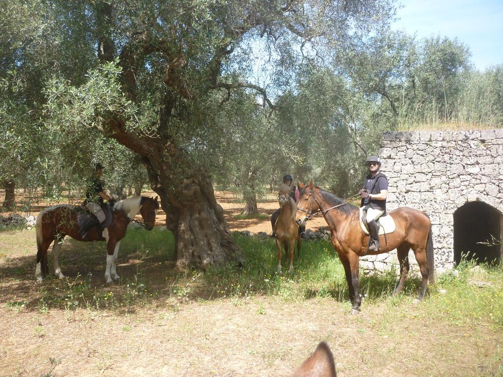 Masseria Li Campi Cavallino di Lecce Εξωτερικό φωτογραφία